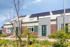 Koolzaad391747EWTuitjenhornNL-03.jpg