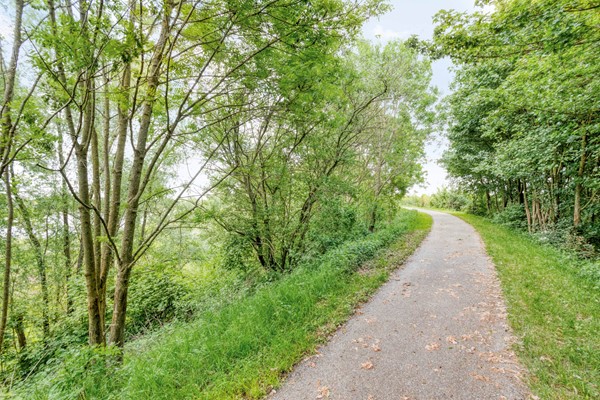 DenDrul19R15439NRLinden-35.jpg