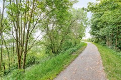 DenDrul19R15439NRLinden-35.jpg
