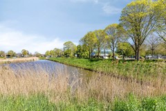 Koolzaad391747EWTuitjenhornNL-36.jpg