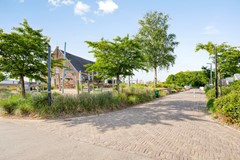 DenDrul19R15439NRLinden-26.jpg