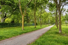 Heemskerkerweg1891945TGBeverwijkNL-64.jpg