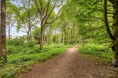 Heemskerkerweg1891945TGBeverwijkNL-66.jpg