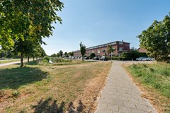 Frederik van Eedenhove 3-39.jpg