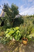 Marga Klompestraat 20-41.jpg