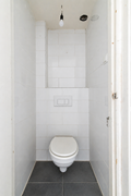 toilet dl1.png