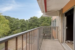 GroteBeer1591188AXAmstelveenNL-24.jpg