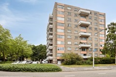 GroteBeer1591188AXAmstelveenNL-03.jpg