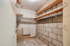 GroteBeer1591188AXAmstelveenNL-27.jpg