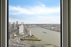 IMG_8823.jpeg