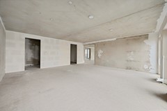 IMG_8873.jpeg