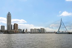 IMG_8880.jpeg