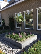 Nieuw in verhuur: Amerlaan 9, 5626 BR Eindhoven