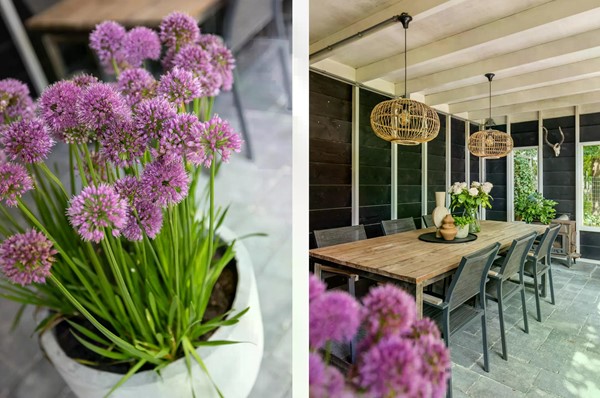 Medium property photo - Koemeerskuil 20, 5513 PD Wintelre