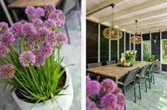 Onder optie: Koemeerskuil 20, 5513 PD Wintelre