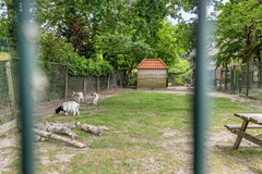 Koop: Blaarthemseweg, 5502 JW Veldhoven
