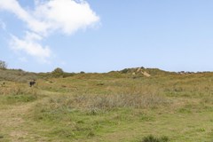 Verkocht: Patrijzenstraat 28, 2042 CN Zandvoort