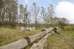 Verkocht: Patrijzenstraat 28, 2042 CN Zandvoort