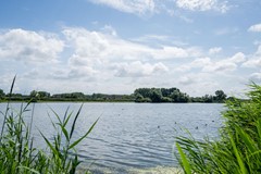 Nieuw in verkoop: Bertha Von Suttnerstraat 9, 2037 LE Haarlem