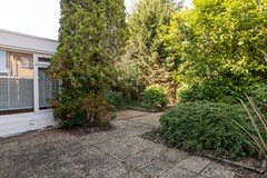 Wieenbroek 9 Buchten-29.jpg