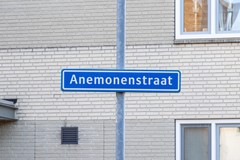 Te koop: Anemonenstraat 12, 6163JW Geleen