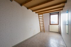 AAP 2026 ODHH 0218 029.jpeg