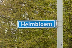 Nieuw in verkoop:Helmbloem 7, 6181 MX Elsloo - Foto