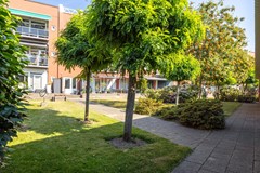 markt29-042.jpg