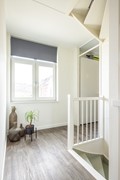 hoogaers3-029.jpg