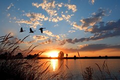 Koop: Almereweg (Dijkhuys), 1674 PS Opperdoes