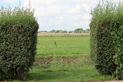 Koop: Lijsbeth Tijsweg 7-71, 1647 LE Berkhout