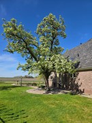 Noorddijkerweg 66 te Ursem John Greuter Makelaardij o.g. (3).jpg