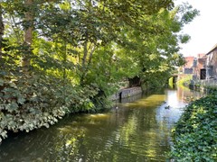 WhatsApp Image 2025-07-09 at 16.11.50.jpeg