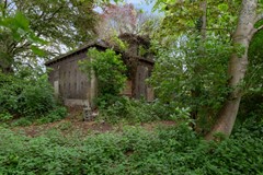 De Buurt 43 te Venhuizen John Greuter Makelaardij o.g. (5).jpg