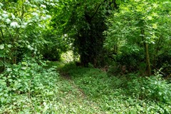 De Buurt 43 te Venhuizen John Greuter Makelaardij o.g. (10).jpg