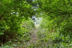 De Buurt 43 te Venhuizen John Greuter Makelaardij o.g. (11).jpg