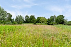 De Buurt 43 te Venhuizen John Greuter Makelaardij o.g. (12).jpg