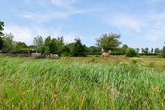 De Buurt 43 te Venhuizen John Greuter Makelaardij o.g. (13).jpg