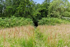 De Buurt 43 te Venhuizen John Greuter Makelaardij o.g. (14).jpg