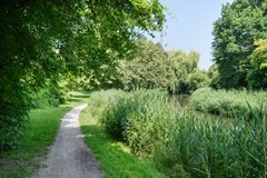 Kinderbalk 40_03.jpg