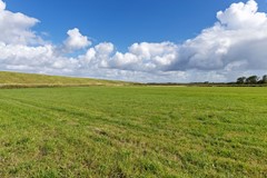 Belt 8 Hippolytushoef (7).jpg