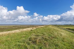 Belt 8 Hippolytushoef (8).jpg