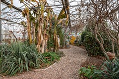 Dorpsweg 39 te Schellinkhout John Greuter Makelaardij o.g. (82).jpg