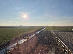 WhatsApp Image 2025-02-18 at 11.14.31 (6).jpeg