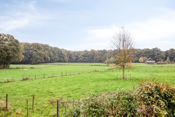 Foto - Te koop: J.H. Nieuwenhuisstraat 53, 7574 ZG Oldenzaal