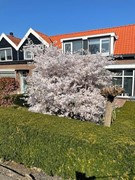 Nieuw in verkoop: Pruimendijk 109, 2989 AH Ridderkerk