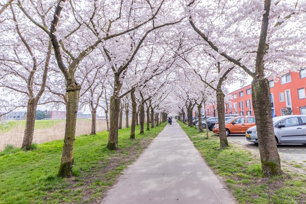 Medium property photo - Azorenweg 32, 1339 VL Almere