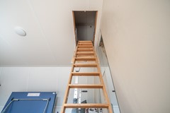 96.jpg