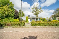 96.jpg