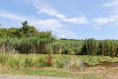 Verkocht onder voorbehoud:Wagendijk 16, 3628 ER Kockengen - Foto